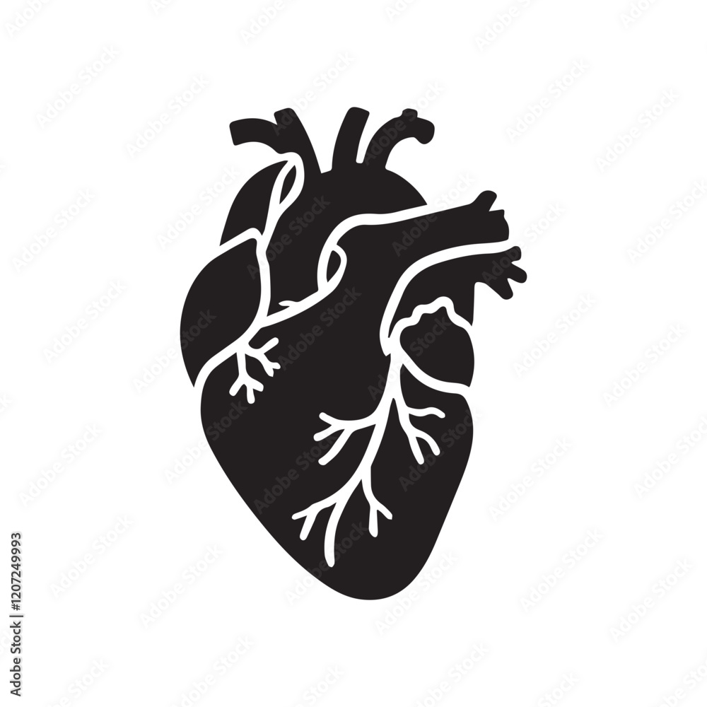 anatomical heart vector clip art flat design. anatomical heart vector clip art flat design.