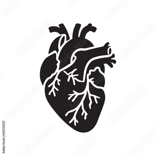 anatomical heart vector clip art flat design.