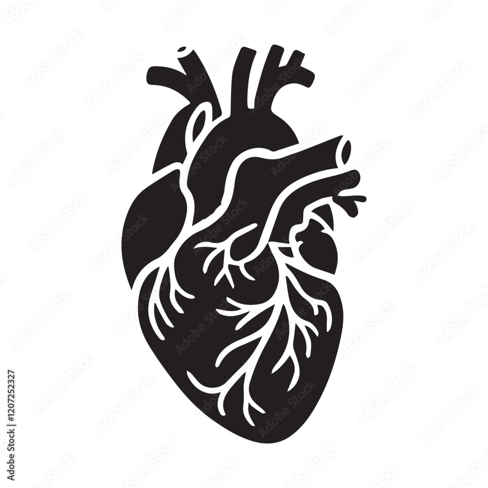anatomical heart vector clip art flat design. anatomical heart vector clip art flat design.