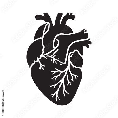 anatomical heart vector clip art flat design.