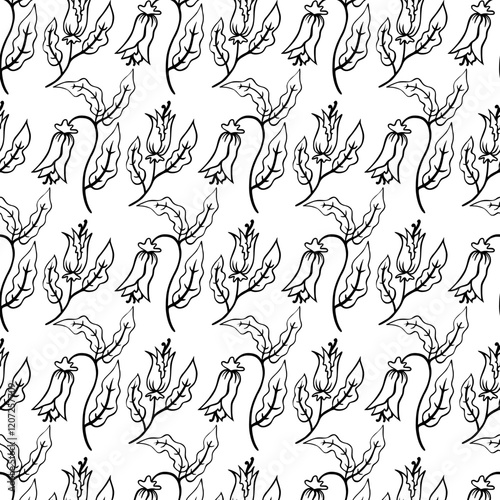 ZEBRA vector illustration on white background for tatoo, typography, t hirt, wall art, poster. Vector sketch.