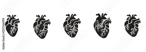set off bundle anatomical heart vector clip art flat design