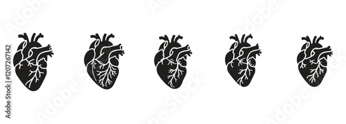 set off bundle anatomical heart vector clip art flat design