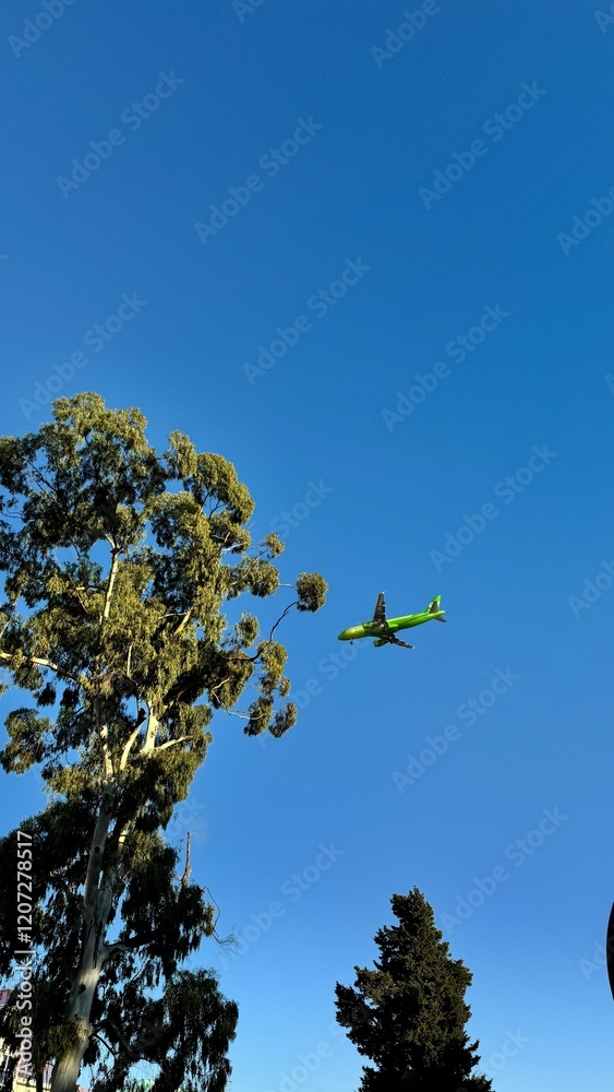 Green Airplane Flying Over Trees in Blue Sky Green Airplane Flying Over Trees in Blue Sky