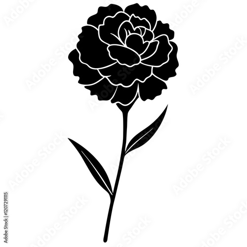 illustration of a carnation flower