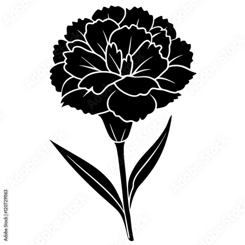 illustration of a carnation flower