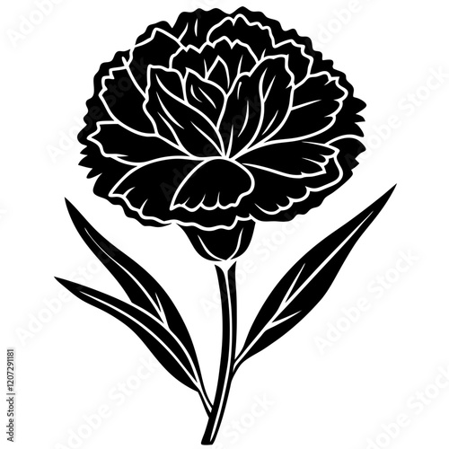 illustration of a carnation flower