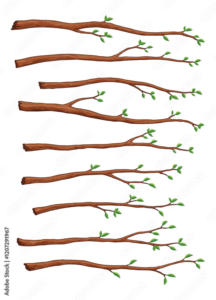 Tree branch set. Leafy plants twig, fresh greenery. Deciduous bush sprout on white background. Vector isolated botanical decoration element