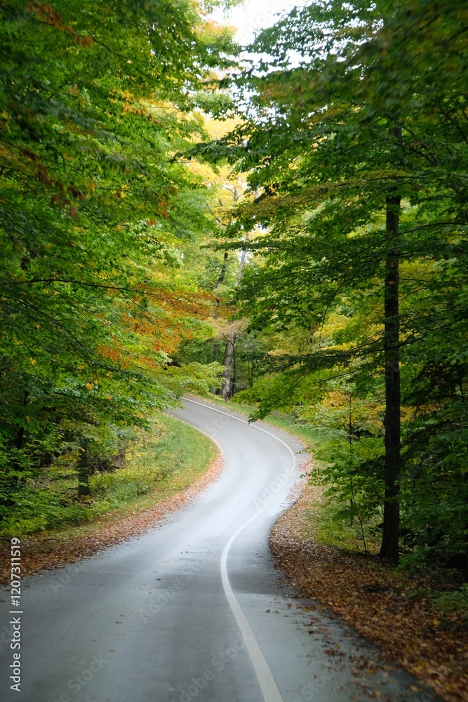Winding road through autumn forest Winding road through autumn forest
