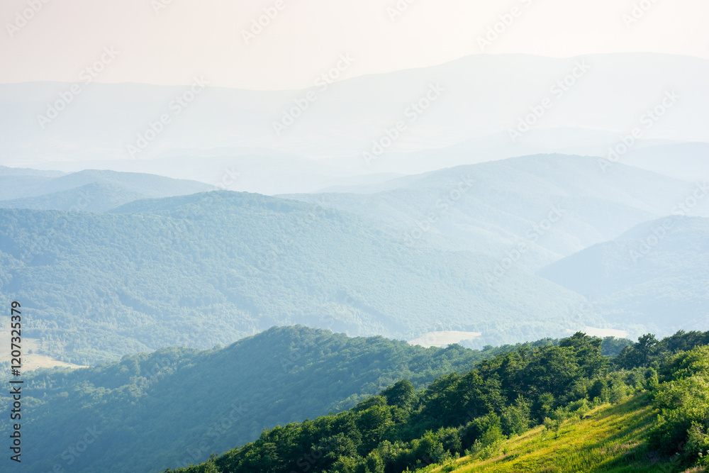 beautiful view of mountain landscape in summer. vacation season. green hill rolling in to the distance in evening light. lush forest on the slope