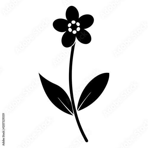 black and white forget me not