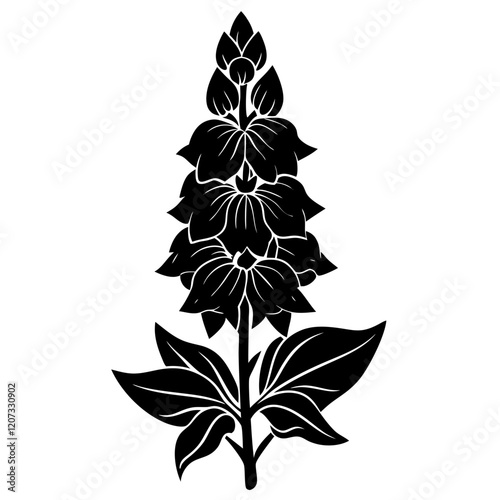 black and white delphinium flower