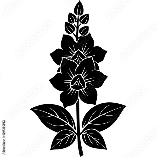 black and white delphinium flower