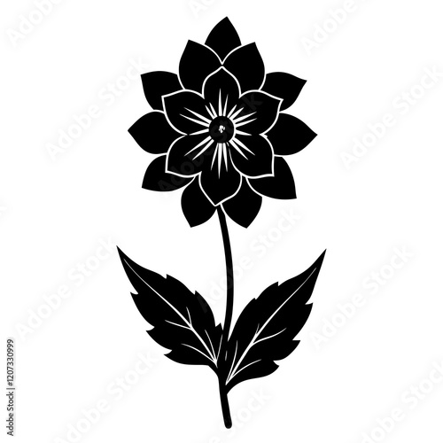 black and white delphinium flower