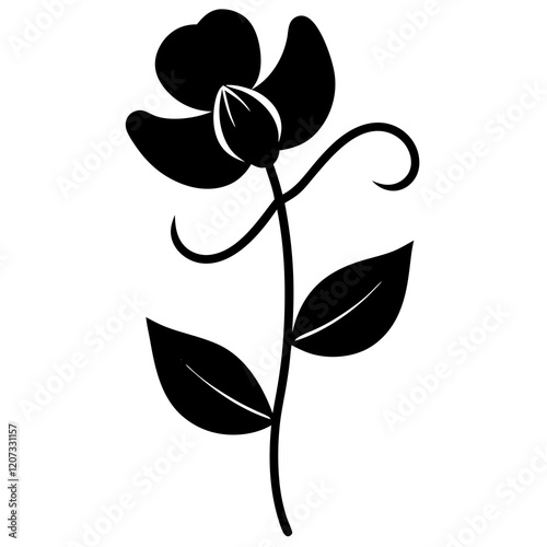 black and white sweet pea flower