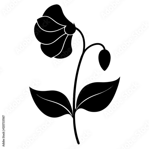 black and white sweet pea flower