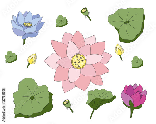 Un conjunto de hojas y flores de loto.