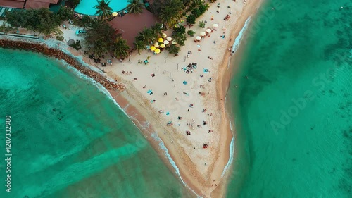 Aerial View of a Tropical Beach with Palm Trees and Crystal-Clear Turquoise Water