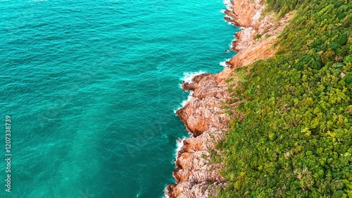 Aerial View of a Tropical Beach with Palm Trees and Crystal-Clear Turquoise Water