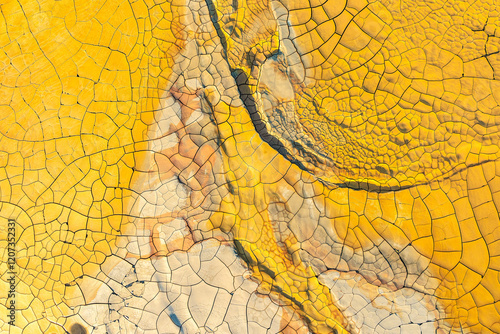 Texture and patterns of cracked golden mud photo