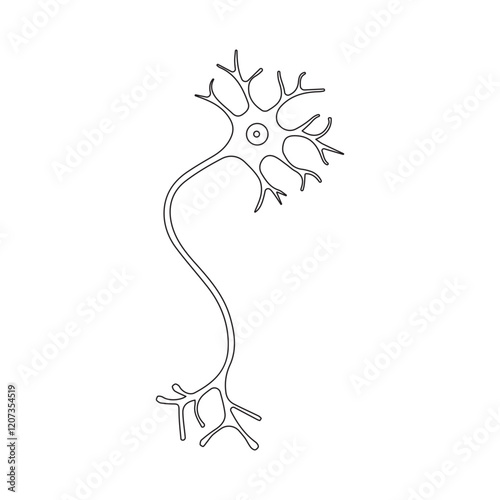 Motor neuron curved line icon