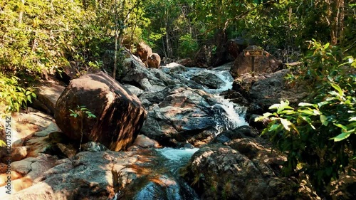 Serene Forest Stream Flowing Over Rocks in a Tropical Jungle Setting