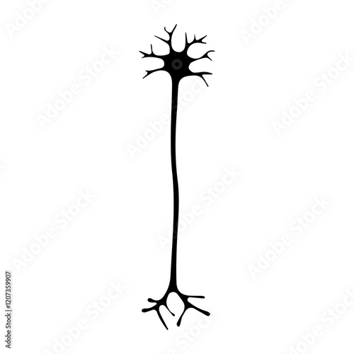 Multipolar neuron glyph icon