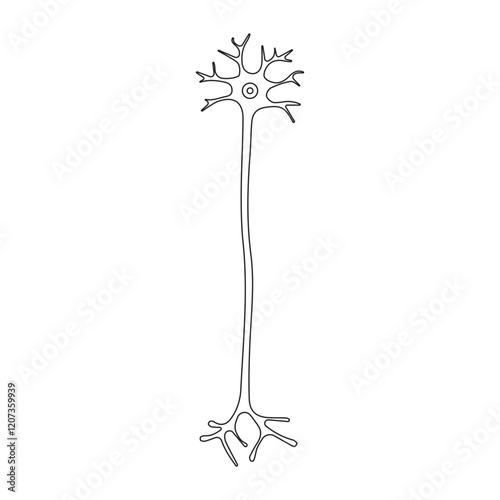 Multipolar neuron line icon