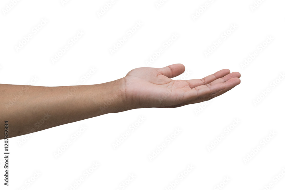 open hand open hand