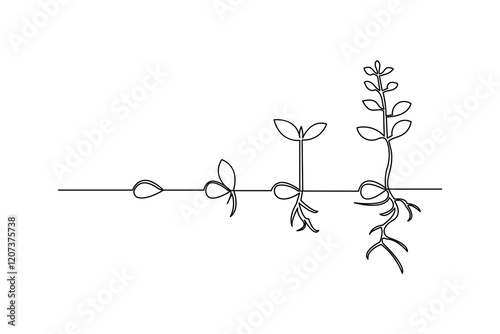 Continuous one line art drawing of plant growth processing outline vector illustration