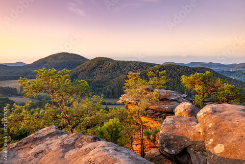 Early Morming Atmosphere above Dahn Rockland seen from Rock Sprinzelfelsen, Dahner Felsenland, Rhineland-Palatinate, Germany, Europe