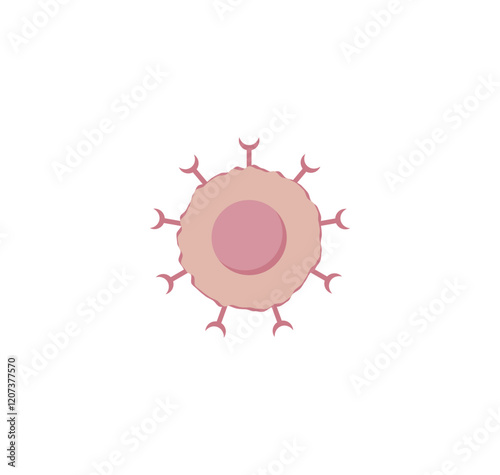 T Cell, T cell icon, helper and cytotoxic T cell, CD Antigen Types., CD4 And CD8. T cell isolated on white background. Immune system. Vector Illustration.