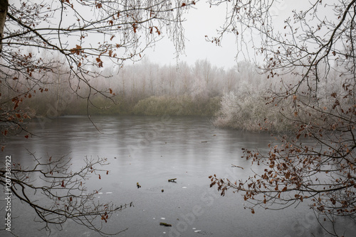 Kleiner idyllischer See im Winter im Großen Torfmoor in der Nähe von der Stadt Hille photo