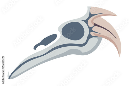  x-ray view of a bird skull colour vector illustration