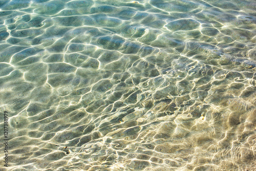 Beautiful seashore close up view.