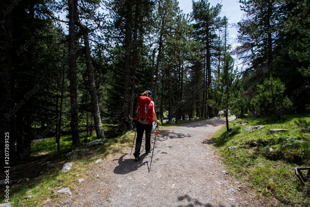 Obraz premium Young hiker woman in Vall de Boi, Aiguestortes and Sant Maurici National Park, Spain