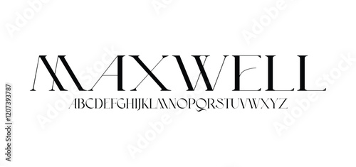 Luxury beauty font alphabet logo. Typography beautiful fashion elegant classic letters serif italic fonts wedding vintage retro logos. vector illustration
