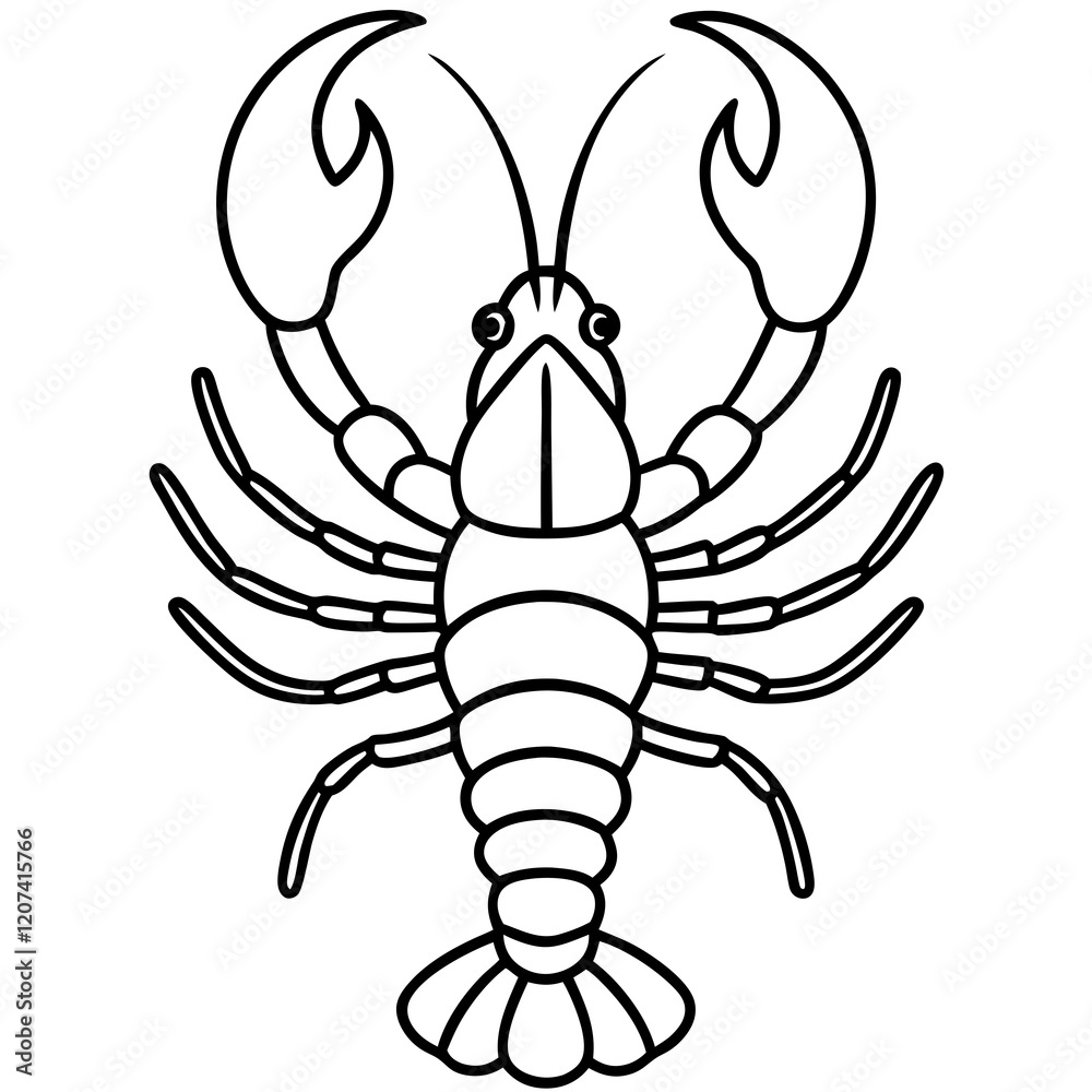 Minimal Lobster Design Minimal Lobster Design