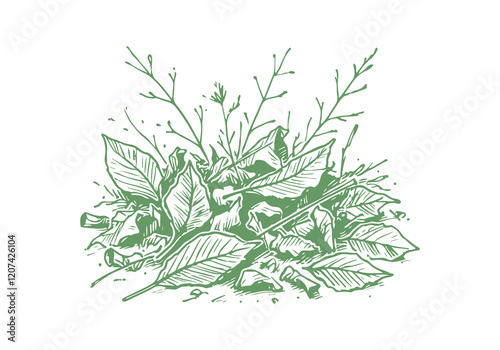 Dry Leaf Waste Hand Drawn Sketch Illustration Sketch