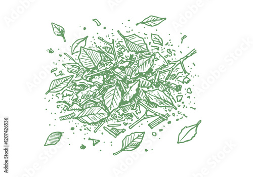 Dry Leaf Waste Hand Drawn Sketch Illustration Sketch