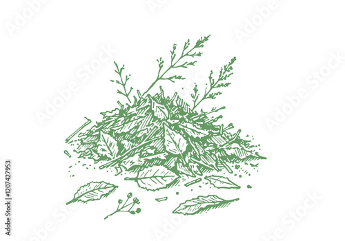 Dry Leaf Waste Hand Drawn Sketch Illustration Sketch