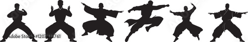 Silhouette of a kung fu fighter vector silhouette