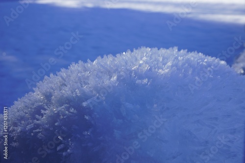Canvas Print Snowflakes on snowfield in Switzerland