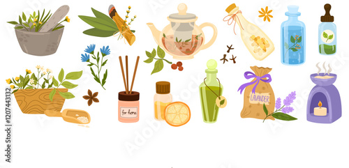Homeopathy, aromatherapy, natural traditional medicine set. Herbs, herbal tea, homeopathic naturopathic essentials, healing plants, wildflowers. Health and self-care concept. Vector Illustration.