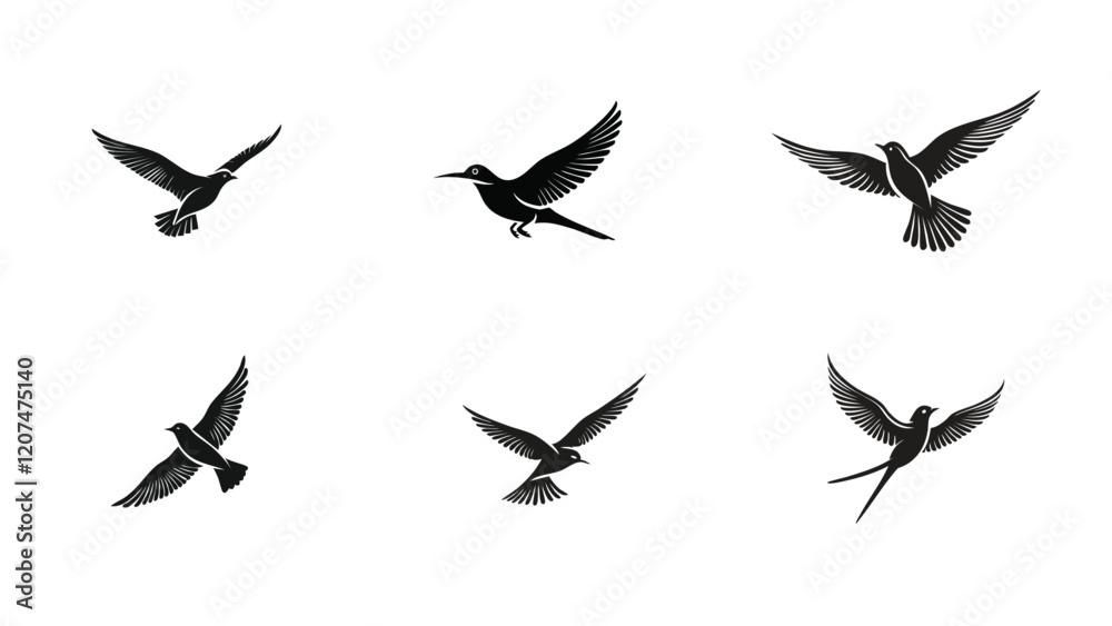 Fototapeta premium Silhouette of a bird flying free