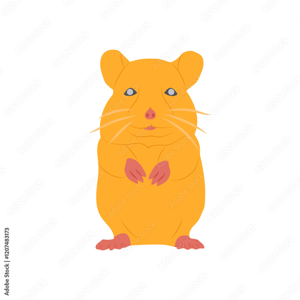 Hamster, Veterinary Flat Vector Illustration Hamster, Veterinary Flat Vector Illustration