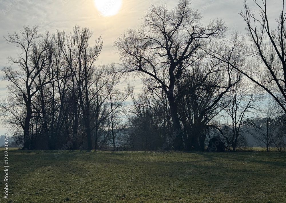 Schöne Landschaft am Wiesengrund in Fürth im Winter