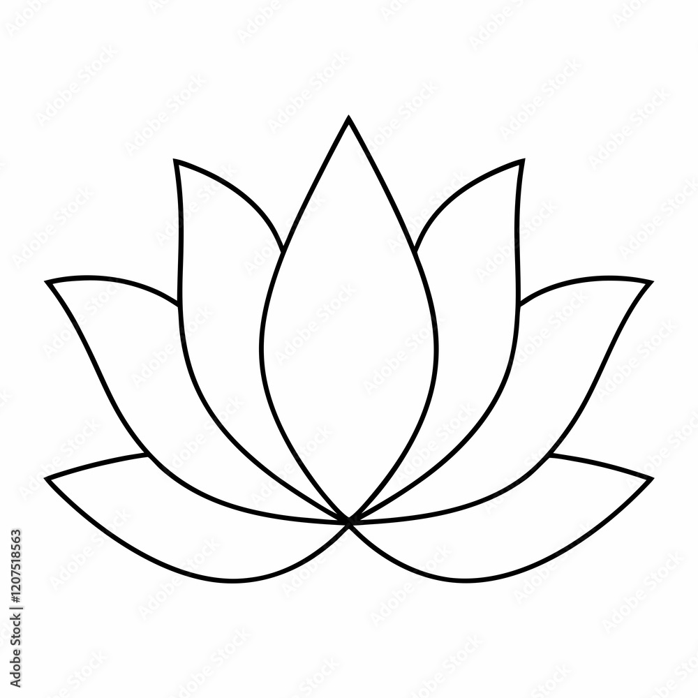 lotus flower line art simple design symmetrical lotus flower line art simple design symmetrical
