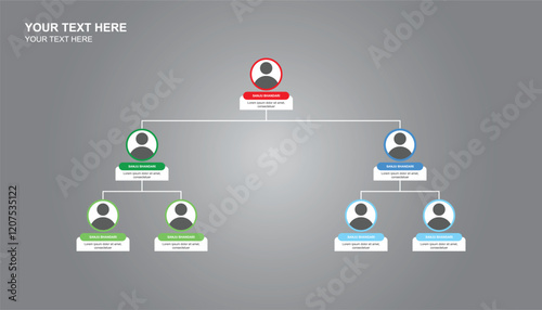 Corporate organization chart with business people icons. busness Infographics with People icon. business structure. hierarchy of employees. hierarchy infographics chart photo