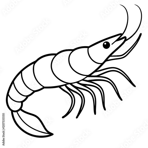 Simple Shrimp Artwork